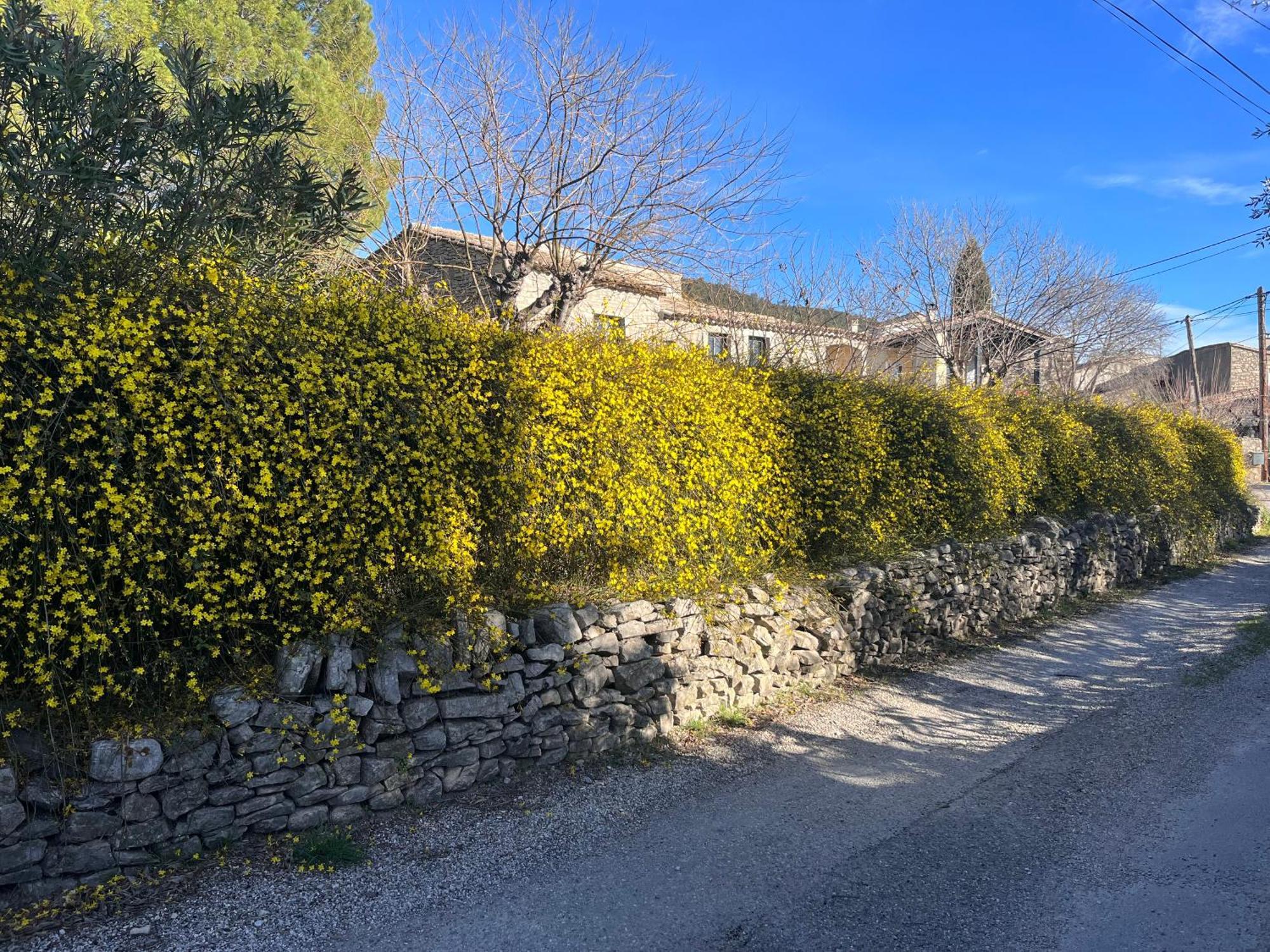 L'Ostal Du Pic Saint Loup Aux Embruscalles Claret Kültér fotó
